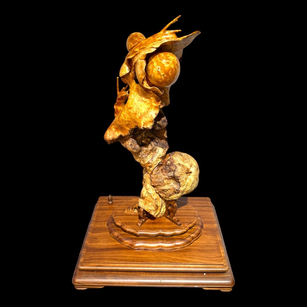 金魚大師洪崇耀-鳳尾蝸牛