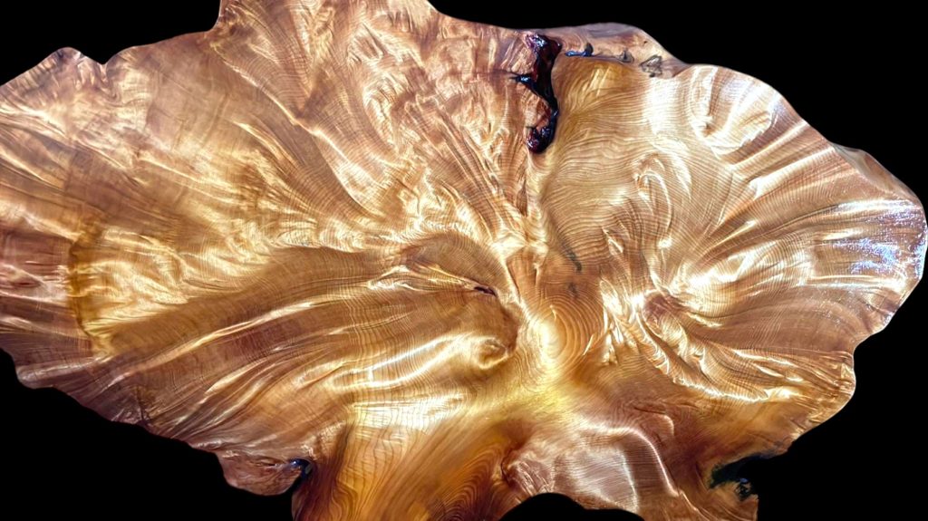 20220930_050413710_iOS-Photoroom